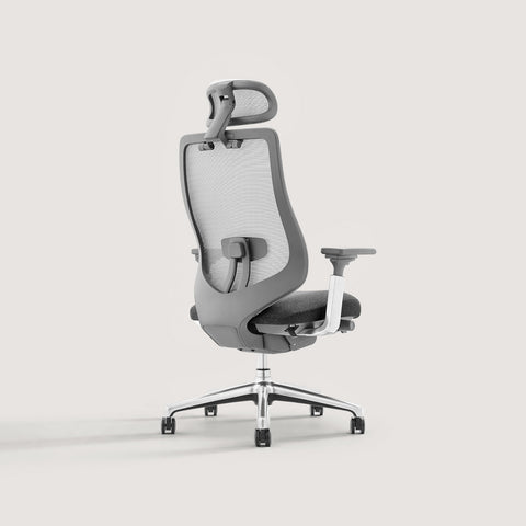 Rear View of COLAMY ATLAS Dark Gray Ergonomic High-Back Mesh Office Chair with Headrest and Lumbar Support