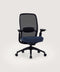 COLAMY AETHER Ergonomic Middle Back Mesh Office Chair